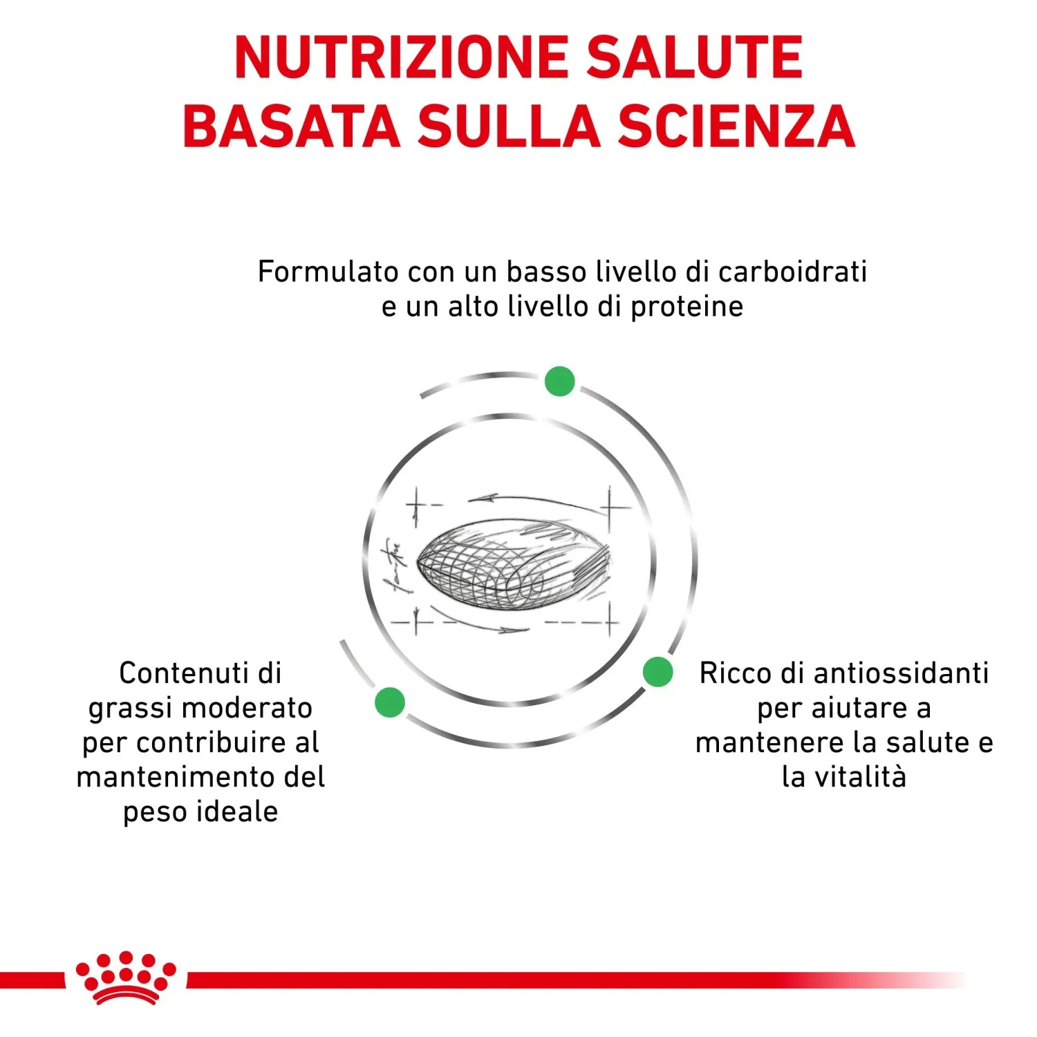 Cibo secco per cani Royal Canin Diabetic 1,5 kg