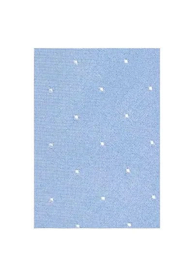 Papillon a pois azzurro