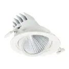 Philips Faretti LED LuxSpace Accent Performance RS781B 29W 2800lm 36D - 822 Bianco Molto Caldo | 170mm