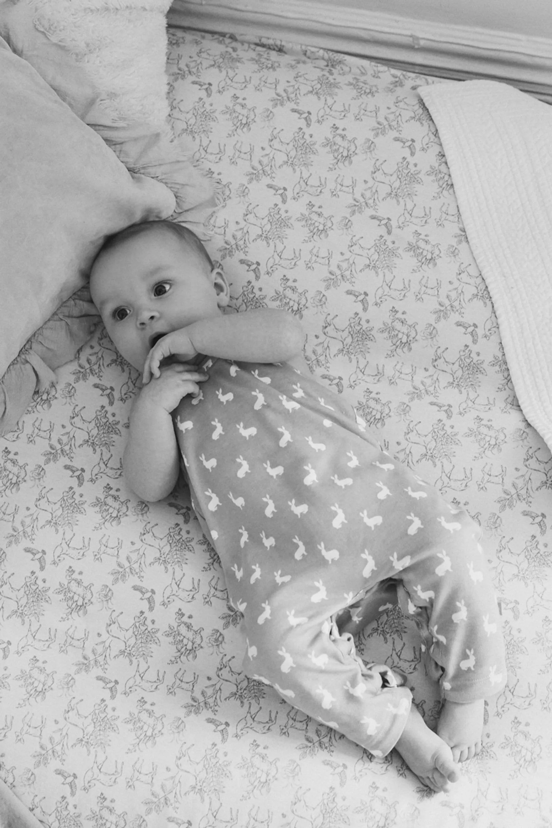 The Little Tailor Baby 100% Cotton Jersey Bunny Print Dungarees    