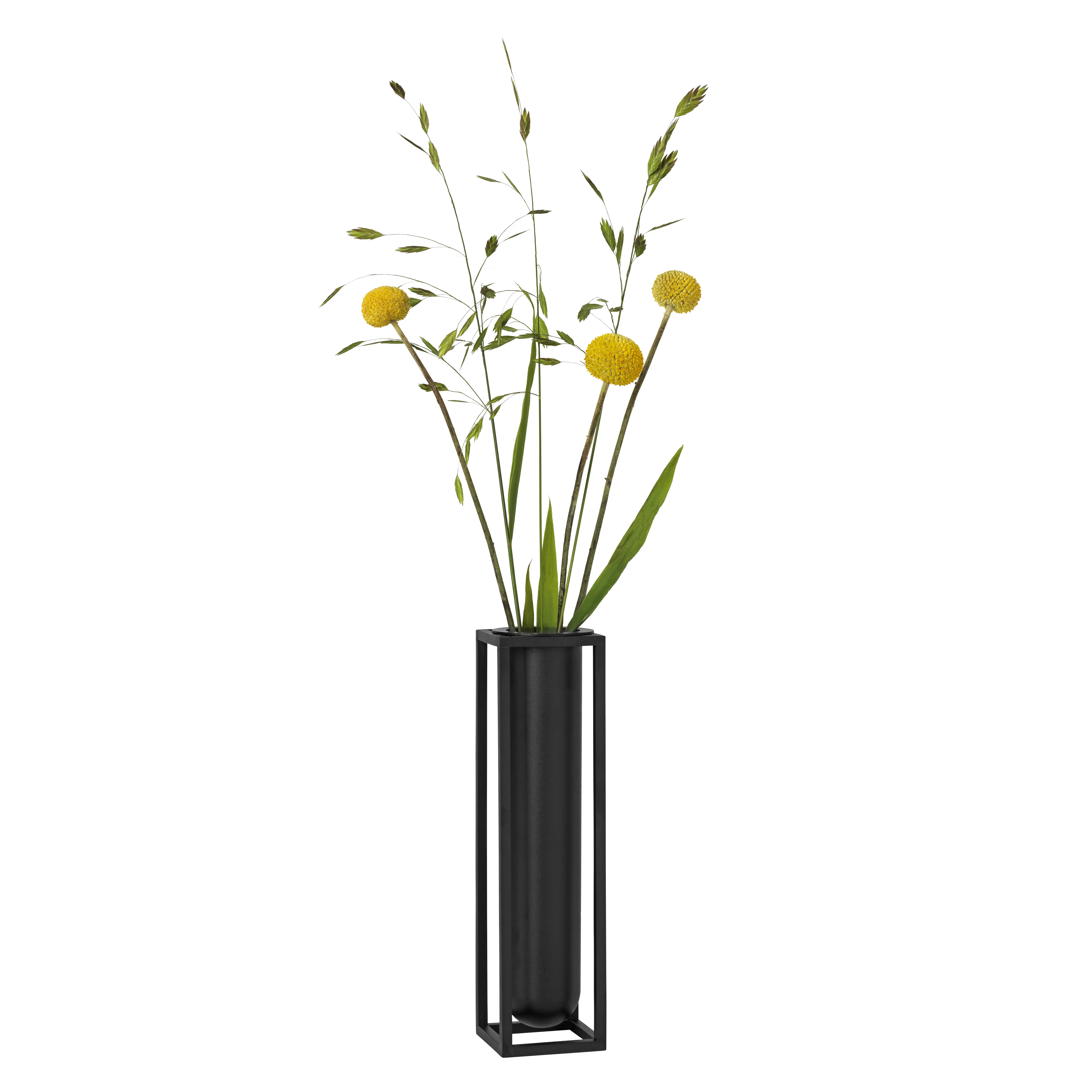 Vaso Kubus, Flora.ji{font-size:18px}nero